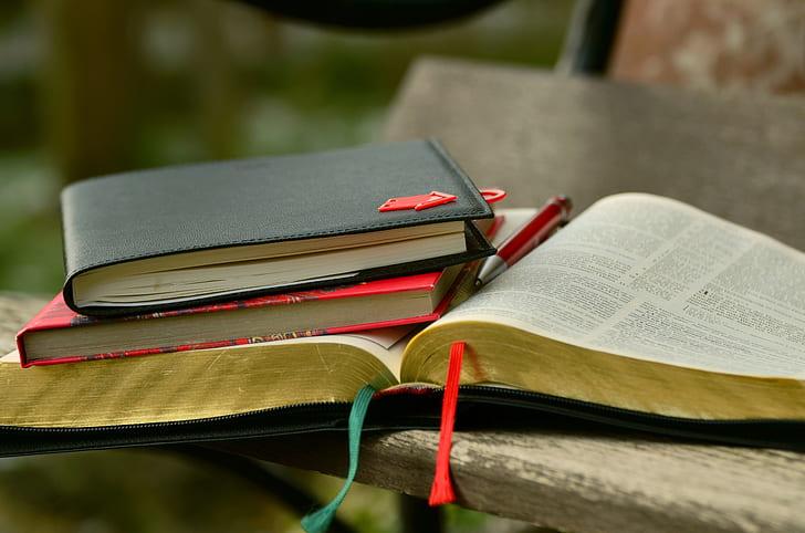 Hvilken studiebibel er best?