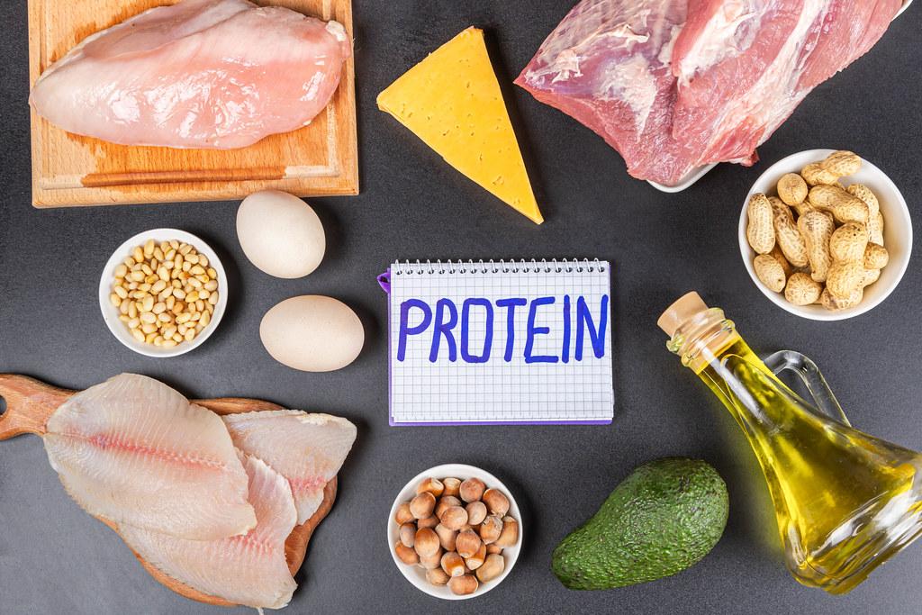 Hvilken funksjon har proteiner i kroppen?